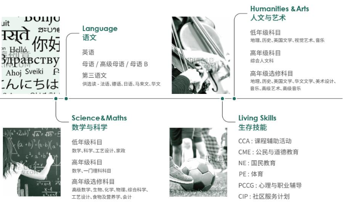 上海常青藤学校新加坡课程设置