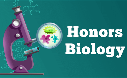 美国高中荣誉生物（Honors Biology）课程学什么？