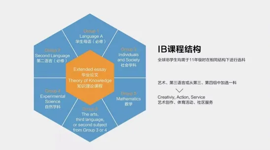 IB课程IA/TOK/EE/CAS是什么？一文讲清楚！