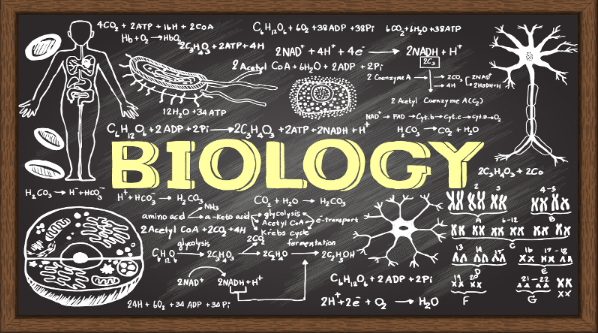 AP生物学笔记：细胞发育和遗传