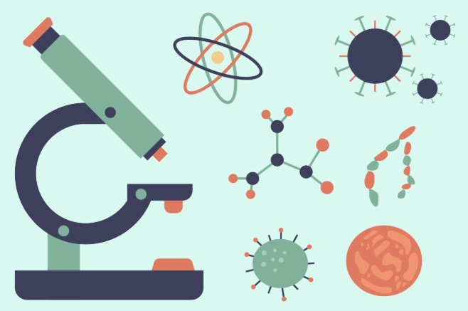 AP生物考试内容有哪些？如何高效备考AP生物考试？