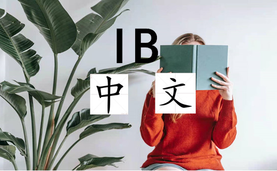 IB中文A和中文B的区别有哪些？哪个难？