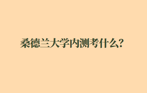 2023年桑德兰大学内测考什么内容？