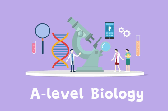 A-level生物课程大纲内容有哪些？如何学好A-level生物？