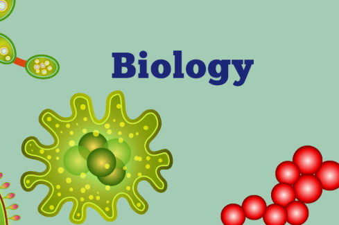 加拿大12年级生物SBI4U课程学什么？