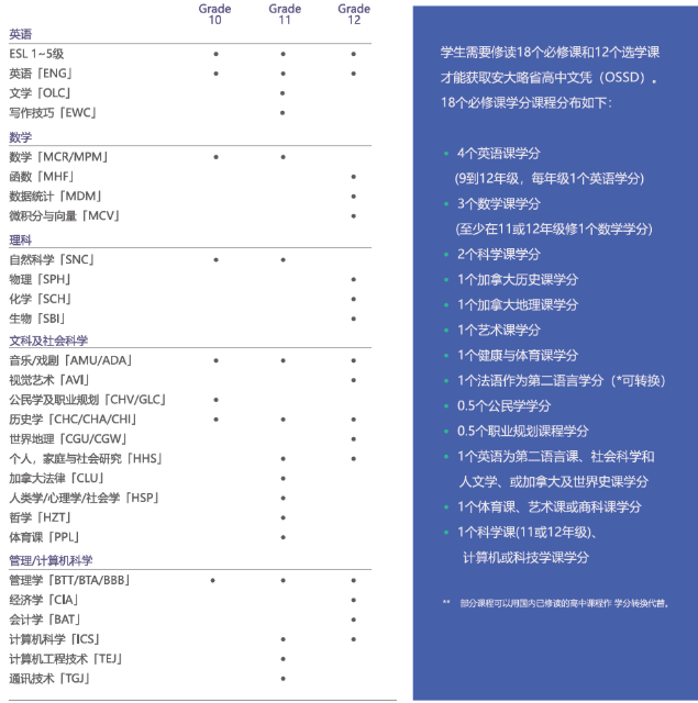 OSSD课程如何选课？需要考虑哪些因素？