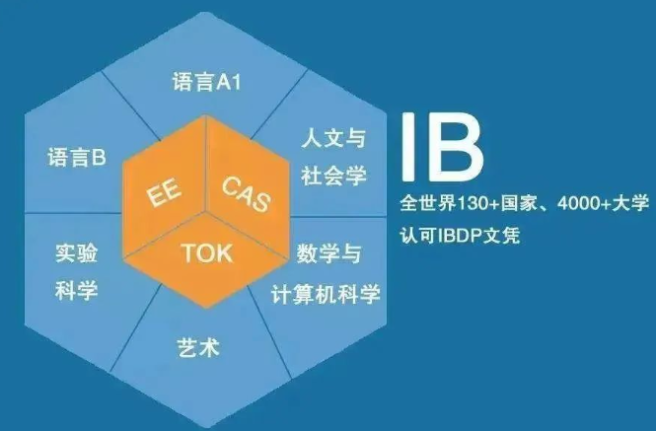 小白必看！IB课程IA/TOK/EE全面解读！