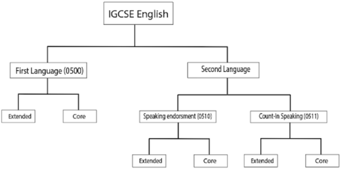 IGCSE英语选课：0500、0510、0511有何不同？