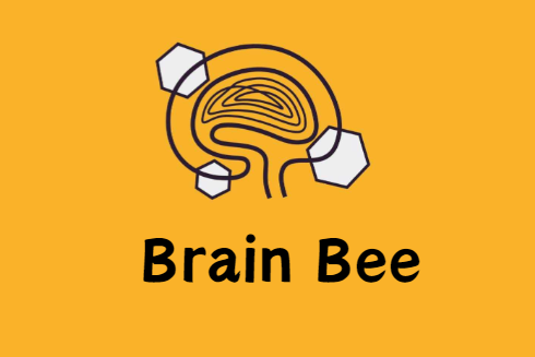 2024年Brain Bee脑科学大赛最新赛事消息！