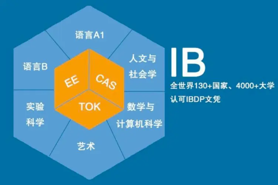 IB课程适合什么学生？上海有哪些好的IB学校？