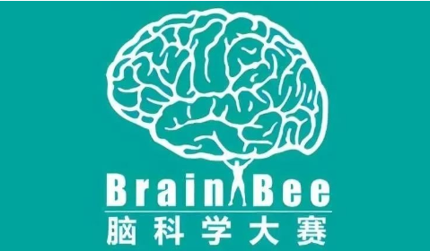 2024年Brain bee脑科学大赛报名时间/流程/赛制一文详解