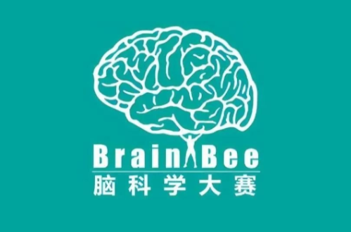 Brain Bee脑科学国赛2024考试时间安排及内容说明