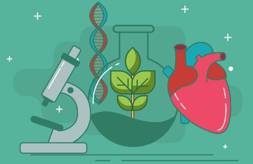 美国九年级生物课程学哪些内容？