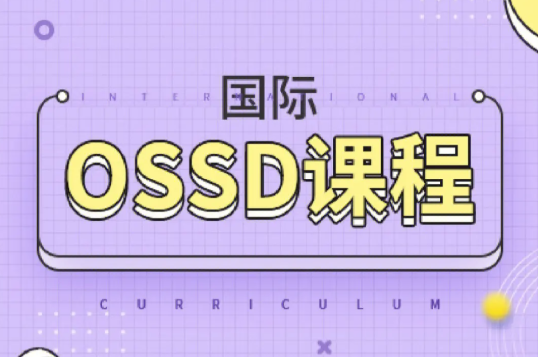 OSSD作业占考试成绩的多少？