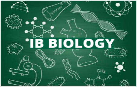 2025年5月IB生物大考该注意避免哪些失误？